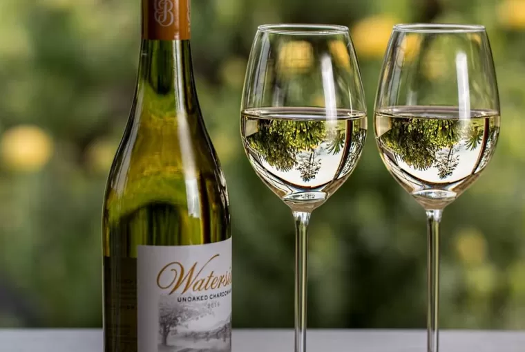 Coffret dégustation vin blanc sec, Bordeaux, Château la Piolette