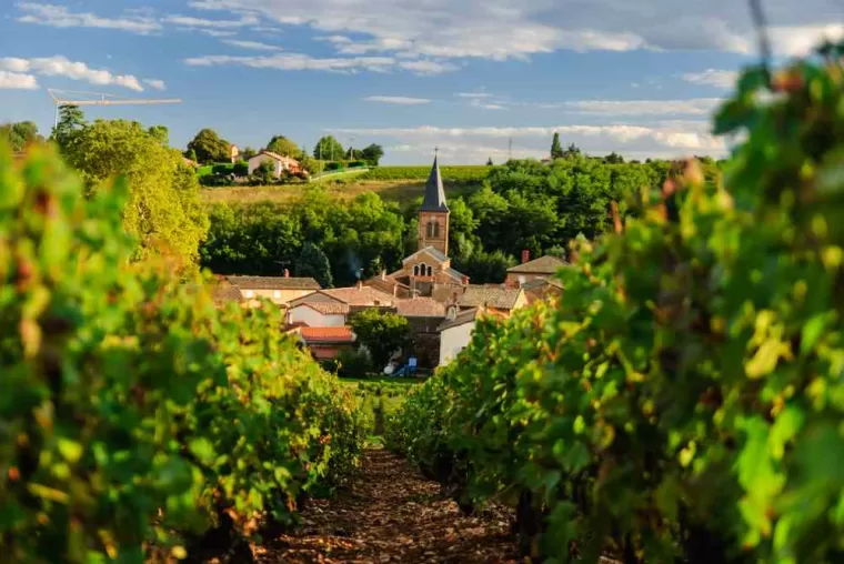Visite insolite vignoble bordeaux, Bordeaux, Château la Piolette