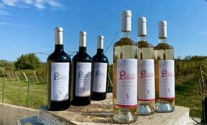 Vente de bouteille de vins, Bordeaux, Château la Piolette