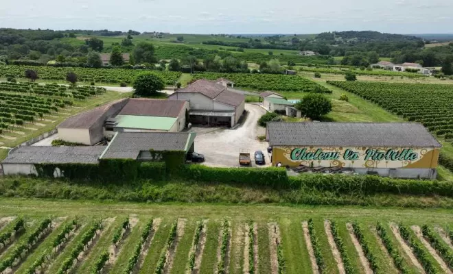Location de gîtes, Bordeaux, Château la Piolette