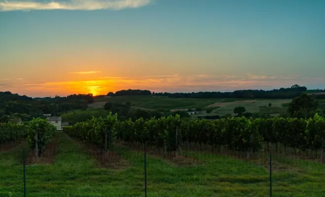 Location de gîtes de nuit, Bordeaux, Château la Piolette