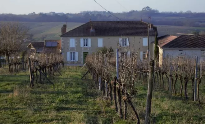 Vignes, Bordeaux, Château la Piolette